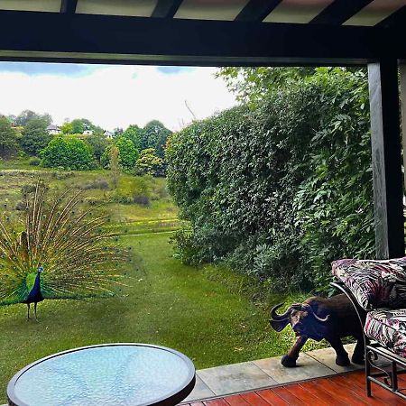 Malachite Manor Underberg Esterno foto