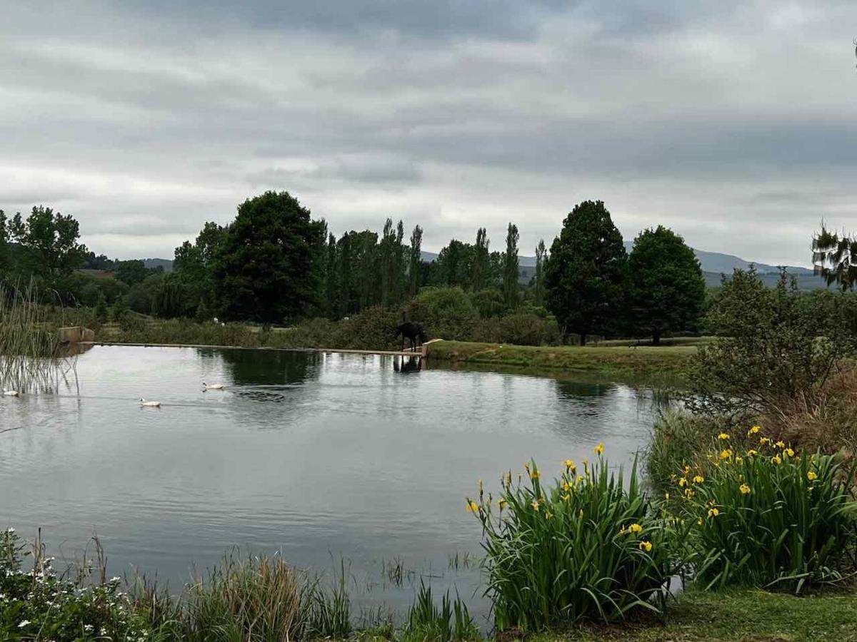 Malachite Manor Underberg Esterno foto